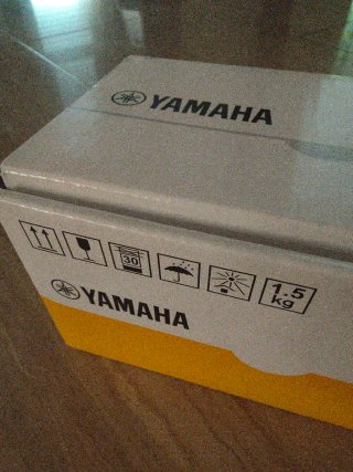 Instrumento de viento Yamaha