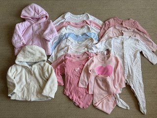 Lote Ropa Bebé 9 Meses Niña