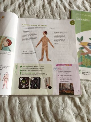 CIENCIAS DA NATUREZA 4 PRIMARIA CONSTRUINDO MUNDOS