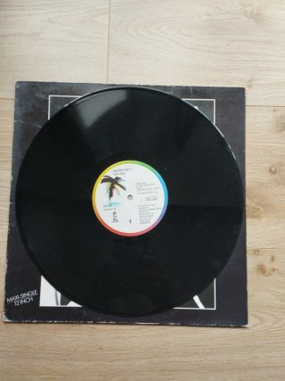 Maxi Single The Face - And Why Not?