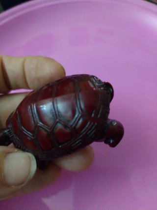 Tartaruga in minerale solfato cinabro rosso