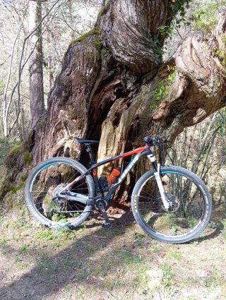 Bicicleta Cube Reaction Carbono Talla 17