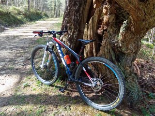 Bicicleta Cube Reaction Carbono Talla 17