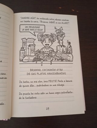 Diario de Nikki 13: un cumpleaños no muy feliz