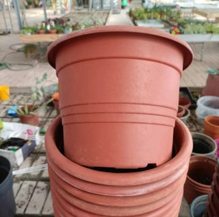 Vaso Rotondo Plastica Diametro 22cm