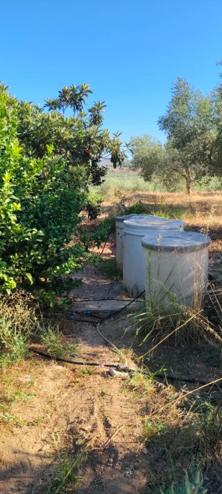 TERRENO CON CASETA