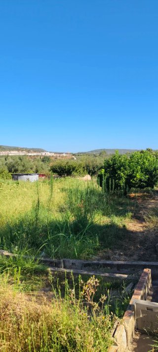 TERRENO CON CASETA