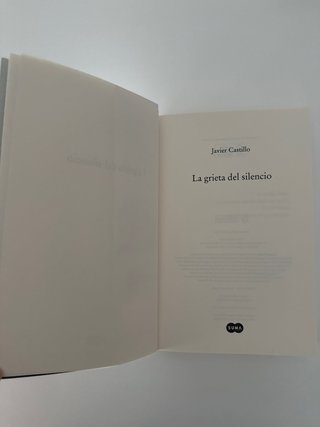 La Grieta Del Silencio / the Fissure of Silence