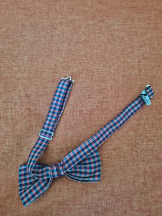 Papillon a quadri blu e rosso