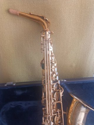 Tudel Selmer Chapado en Oro