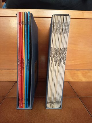 Lote comics Astérix y Tintín en inglés