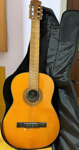 Guitarra Clásica con Funda