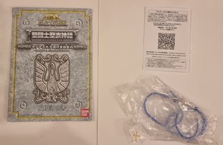 Saint Seiya Cygnus Hyoga OCE 2010