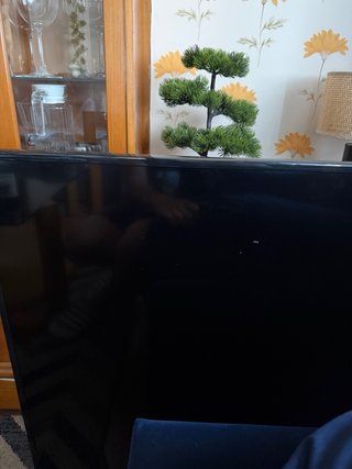 Samsung 55 TV con fugas de luz y golpe