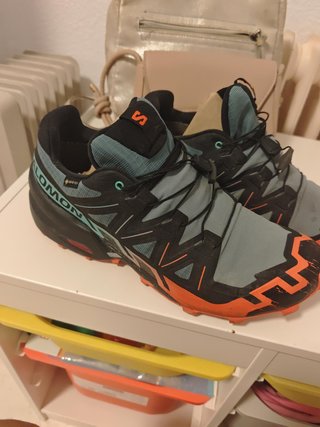 Salomon Speedcross 6 GTX.
