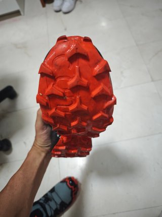 Salomon Speedcross 6 GTX.