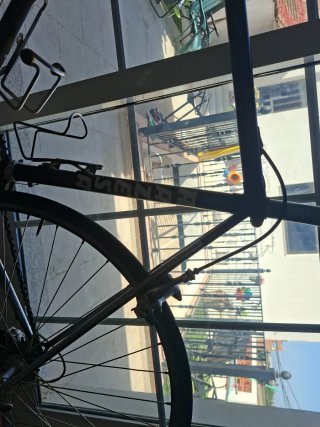 Bicicleta Razesa