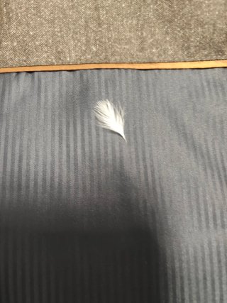 Chaquetón Westbury Premium Gris