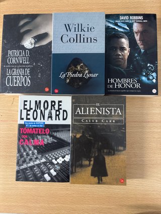 Novela thriller/misterio/histórica/negra.