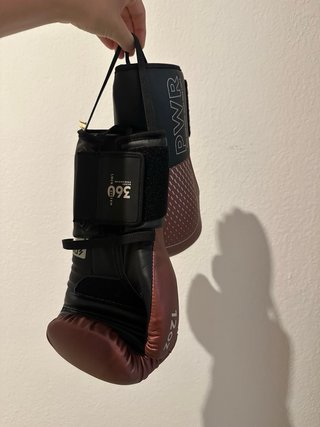 Guantes de Boxeo 12oz PWR
