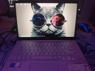 ASUS Vivobook S14 Rosa