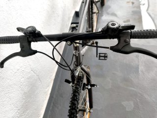 Bicicleta Clásica Globe Trotter 26