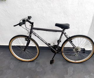 Bicicleta Clásica Globe Trotter 26
