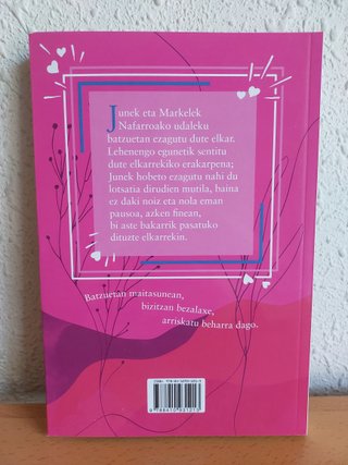 Ezagutu zintudanean, novela romántica (14-16 años)