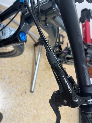 Giant Trance X 29 L 2021 Enduro Bike + REGALOS