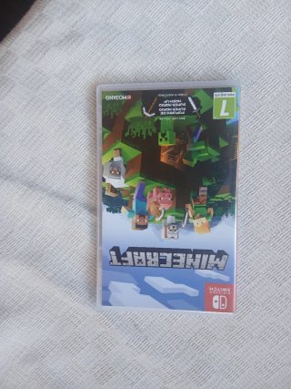 Minecraft Nintendo Switch