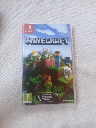 Minecraft Nintendo Switch