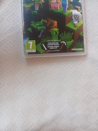 Minecraft Nintendo Switch