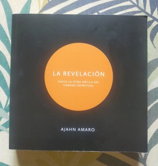 Lote 9 libros espiritualidad, autoayuda, naturismo