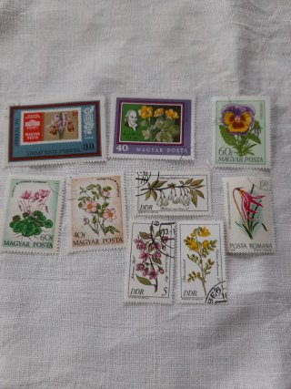 Serie Francobolli Floreale