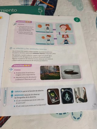 Conocimiento del medio 5 Primaria : Proyecto Co...