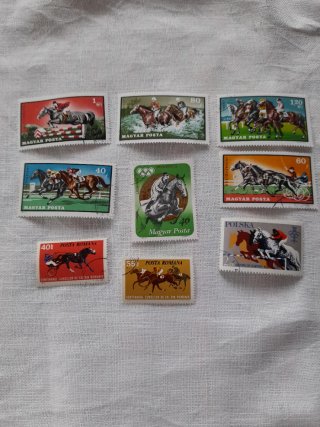 Serie francobolli cavalli