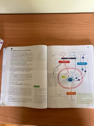 Biología, Geología y Ciencias Ambientales 1 Bac...