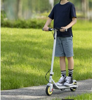 Segway Ninebot eKickScooter ZING C10