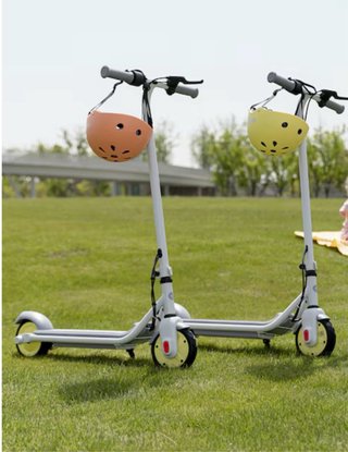 Segway Ninebot eKickScooter ZING C10