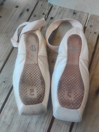 Zapatillas de ballet punta rosa