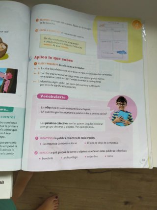 Lengua castellana, 3 Primaria