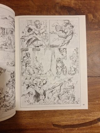 Cómic zona 84, cómic 1984