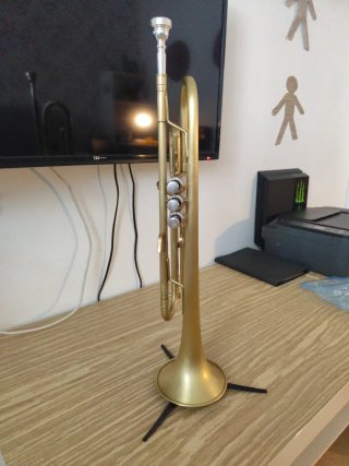 Trompeta Si bemol dorada