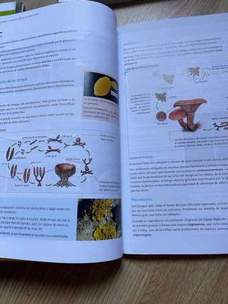 Biología y geología, ciencias, Bachillerato 1