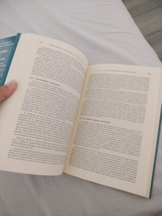 Principios de Derecho Civil Tomo I