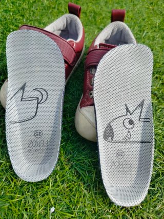 Zapatos Feroz Talla 25