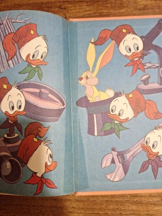 Biblioteca de los Jóvenes Castores Disney Número 2