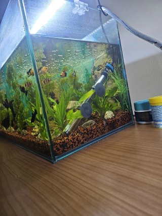 Acuario 80L en perfecto estado