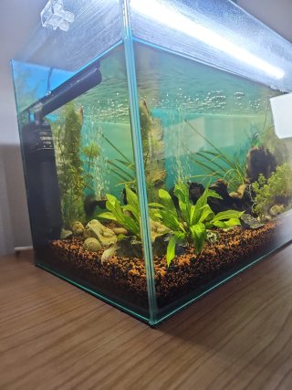 Acuario 80L en perfecto estado
