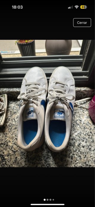 Tenis Nike Blancos y Azules